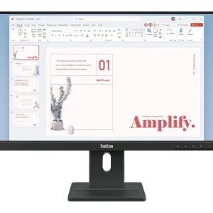 Lenovo ThinkVision 23.8 E24-40